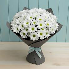 Букет цветов из:  Хризантемы #REPLACE_PRED# Дивногорске