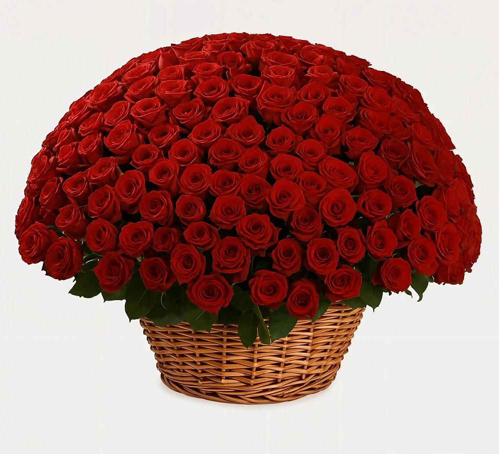 Премиум букет из: Розы в Дивногорске