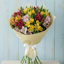 Букет цветов из:  Альстромерии #REPLACE_PRED# Дивногорске