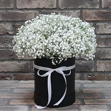 Цветочная композиция из Гипсофила в шляпной коробке в Дивногорске