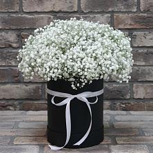 Цветочная композиция из Гипсофила в шляпной коробке в Дивногорске