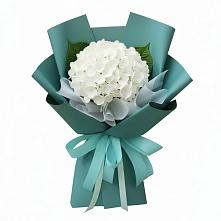 Букет цветов из:  Гортензия #REPLACE_PRED# Дивногорске